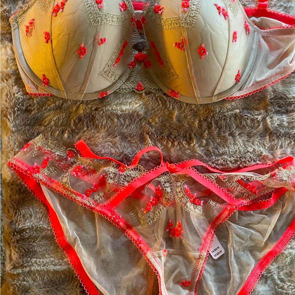 Victoria Secret Set 36D Push Up Small Cheekini set Embroidery. Panty is MEDIUM